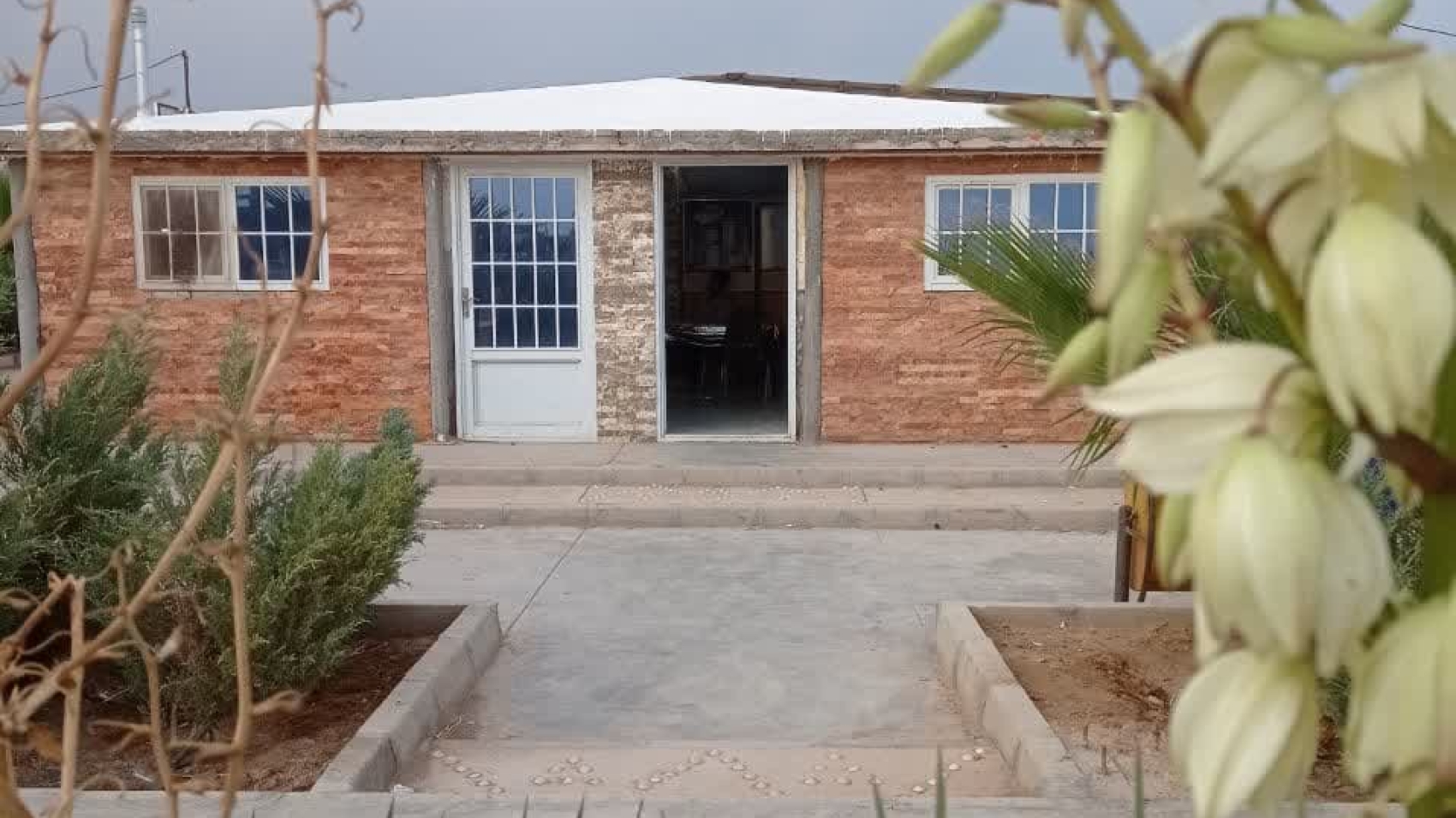 photo_2023-12-17_02-05-25