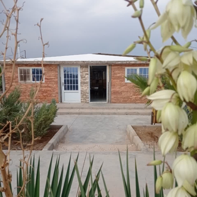 photo_2023-12-17_02-05-25